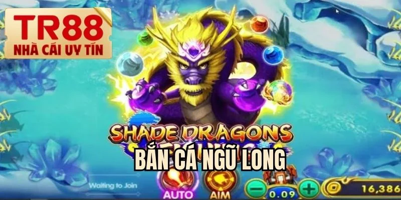 bắn cá ngũ long