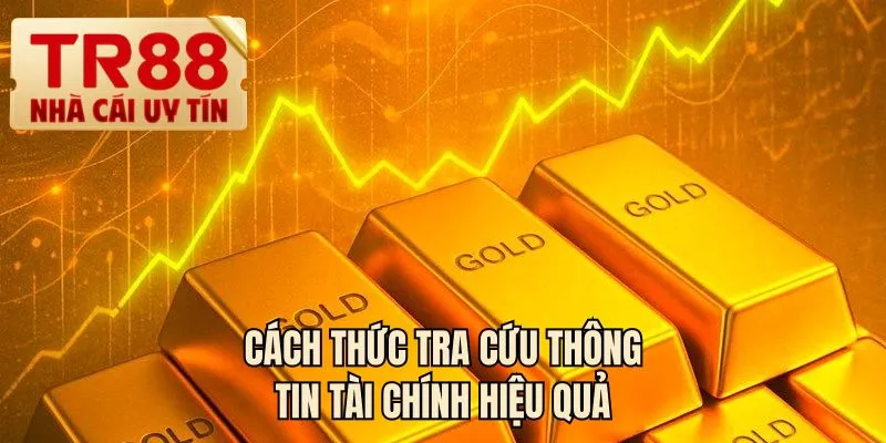 Cách thức tra cứu thông tin tài chính hiệu quả