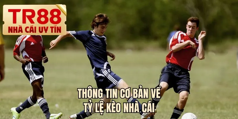 Thông tin cơ bản về tỷ lệ kèo nhà cái