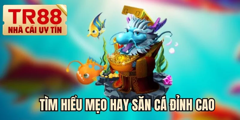 Tìm hiểu mẹo hay săn cá đỉnh cao